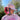 Plant Faced Dad Hat - Pastel Pink by Plant Faced Clothing