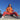 PLANT FACED CLOTHING: Hoodies - Illusions Hoodie - Stop Eating Animals - Alarm Orange, Vegan Clothing